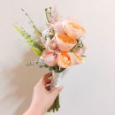줄리엣로즈 이미지