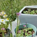 섬진강 펜션 이미지