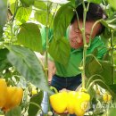 석권농장 이미지