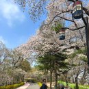 햇빛 | 카르닉 러닝 자외선차단마스크 여름 얼굴 냉감 햇빛 가리개 후기