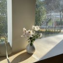 황령대로 319번가길 | [부산 남구] 도심 속 숨은 정원이 있는 카페 “듀스포레” 내돈내산 방문후기