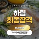 디깅커리어