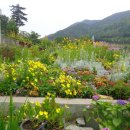 언덕위에 이쁜집 이미지