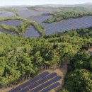 대우태양광발전소 이미지