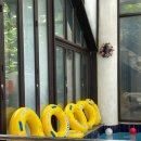 블루힐펜션 이미지