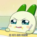 7093푸드