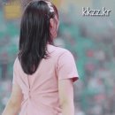 치어리 이미지