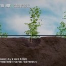(주)마이크로자임 이미지