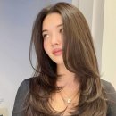 라우헤어 신세계힐