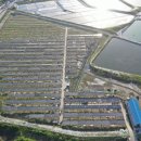 정도테크태양광발전소 이미지