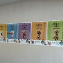 댕수무강 이미지