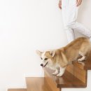 갈매동물병원 이미지