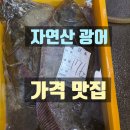 해소수산 | 노량진수산시장 광어 자연산 가격 폭락