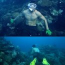 유영타운 이미지