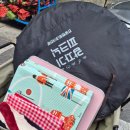 별빛공원(관리사 옆) | 4월 여의도 한강공원 피크닉🌸+별빛 텐트 대여 후기