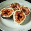 세상물정