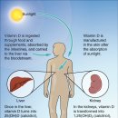 장유내과의원 이미지