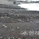 내도동 알작지왓 이미지