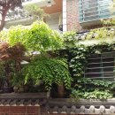 미당서정주의 집 이미지