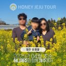 제주다정여행사 이미지