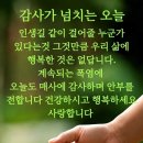 Sunny. keep on running. 이미지