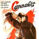 1970 대마초 Cannabis 이미지