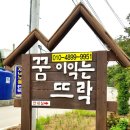 꿈이익는뜨락 | [태안안면도펜션]꿈이익는뜨락,친절한 해루질가능펜션(노후된시설에실망)