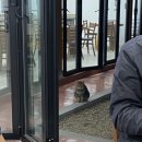 공주시농협옥룡하나로마트