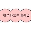 일출스테이 이미지