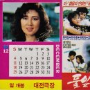 풀잎사랑 이미지