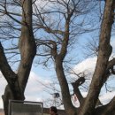 상리마을회관 앞 이미지