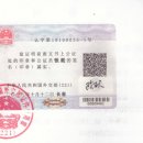 엘림 행정사 이미지