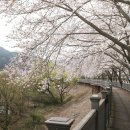 사천공항관광안내소 이미지