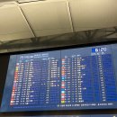 1301 | NOL에서 오사카 항공권 예약, JC1301 실제 탑승기