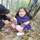 대원유치원 이미지