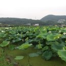 내동마을 입구 이미지