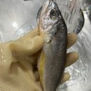 한식조리기능사(실기) 이미지