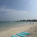 김서프제주 | [24 제주/서핑] 월정리 서프서프 방문 후기