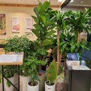 금화왕돈가스사거리 이미지