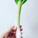 대가농원 이미지
