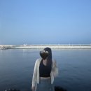 세븐일레븐 강릉 세인트 세인트존스점 | 강원도 여행🩵 강릉 레츠고 / 하운드 호텔 강릉 / 해송 횟집 / 주문진 수산시장