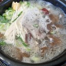 선경인삼