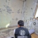 이미경건강과학연구소 | 🧬 곰팡이연구소 – “누구보다 정성을 들여, 완벽한 시공으로 완벽한 결과를 만듭니다.”