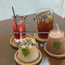 [홍천 카페] 미술관을 닮은 핸드드립 커피가 맛있는 ‘손탁커피’ 홍천 방문 후기.