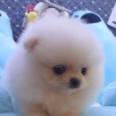 내품에햇살 이미지