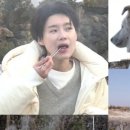 안수영농장 네이버블로그