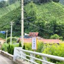 그린에덴펜션 이미지