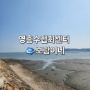 [내돈내산]영흥수협회센터 보람이네: 광어,농어,참돔 회 포장 후기