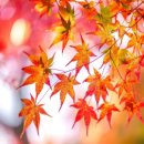 좋은공인중개사사무소 이미지