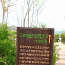 청보리축제장 이미지